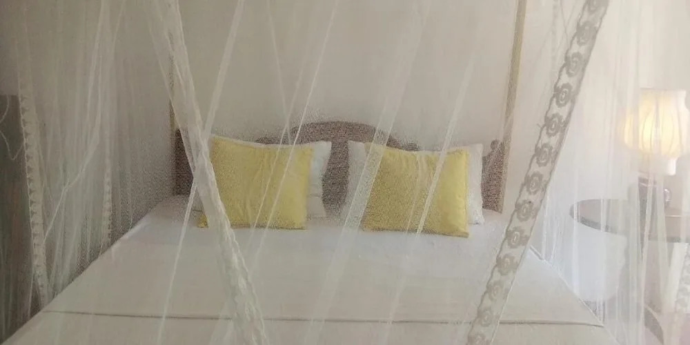 Photo - Sunrise City Palace