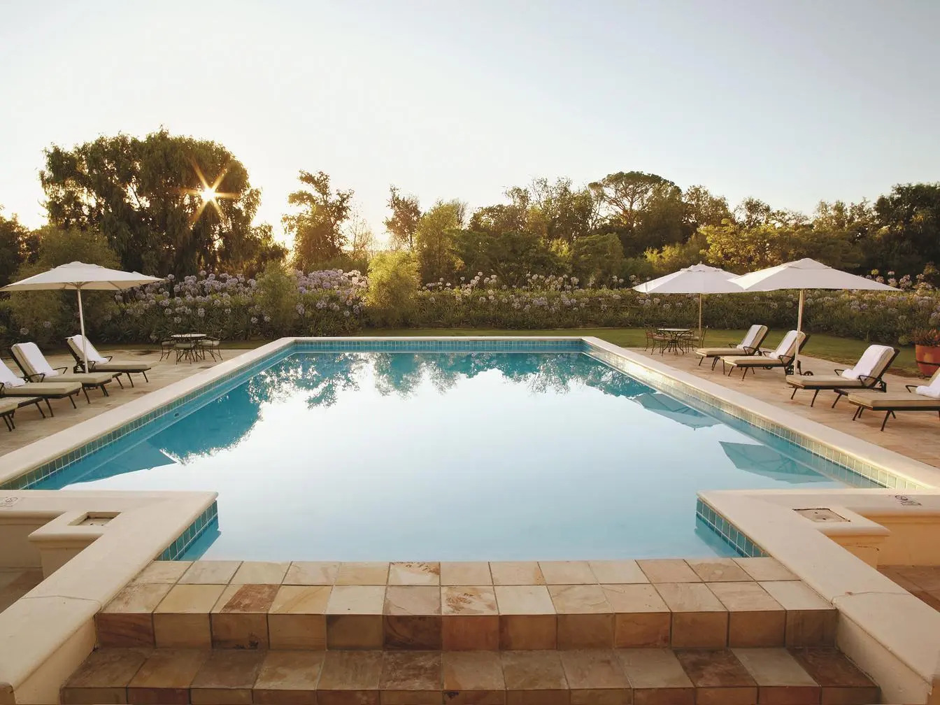 Foto - Spier Hotel and Wine Farm