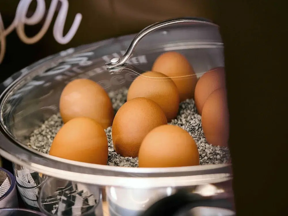 Photo - B&B Hotel Ulm