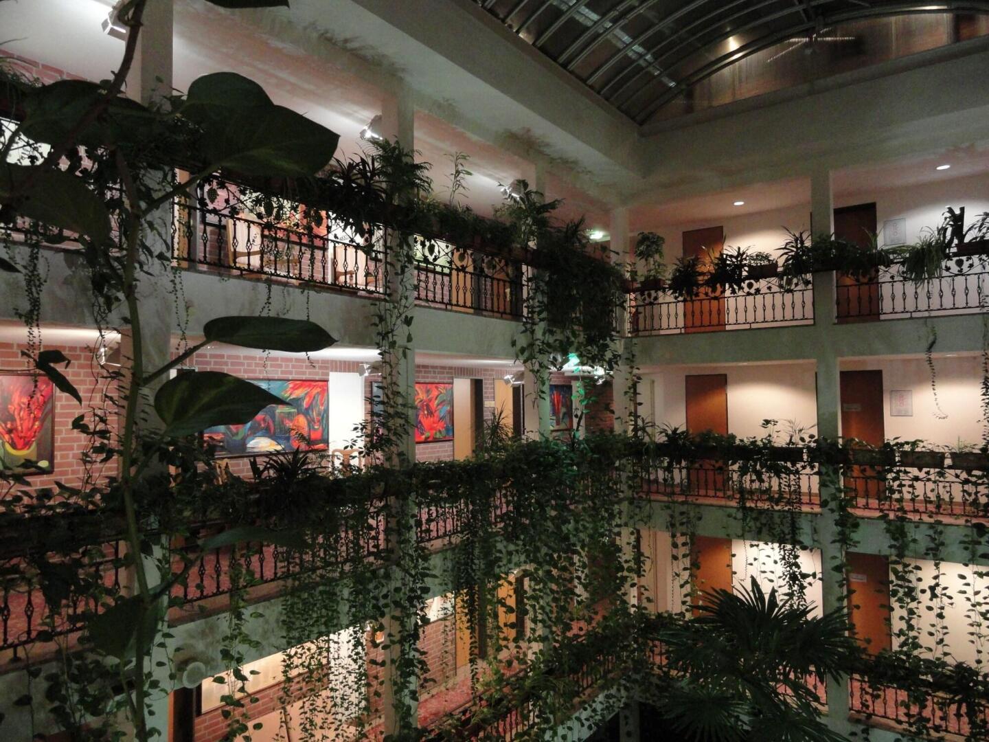 Foto - Solitaire Hotel