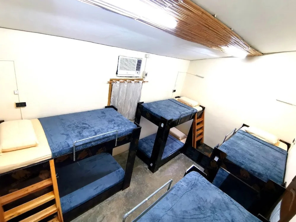 Foto - Big Paul Hostel