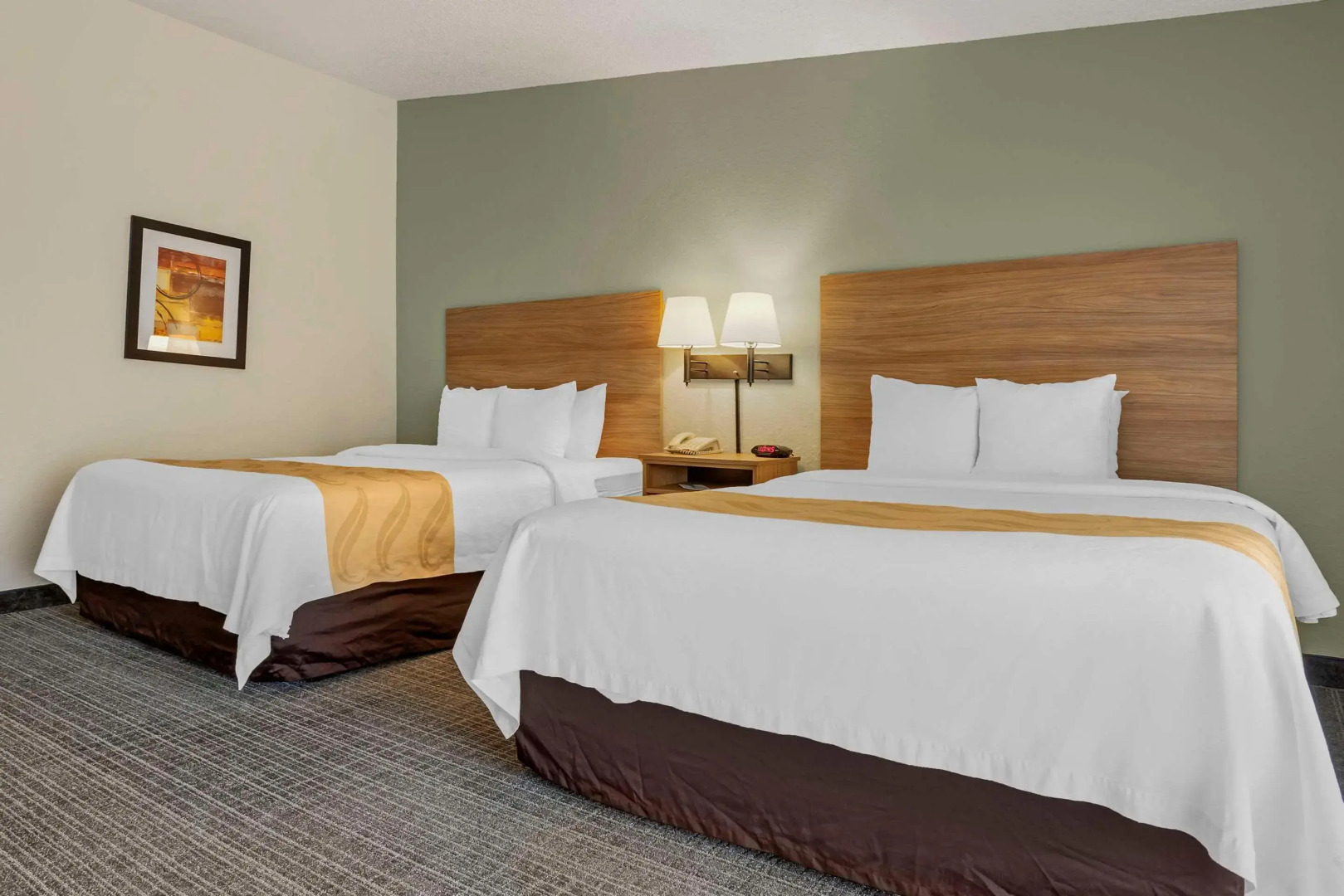 Foto - Quality Inn & Suites NRG Park - Medical Center