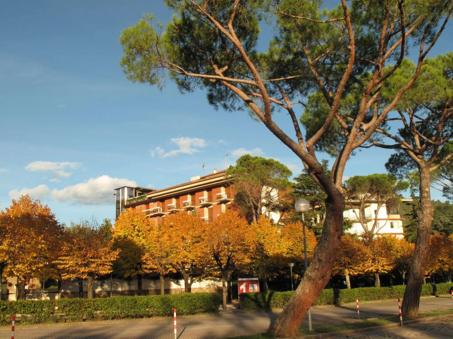 Foto - Hotel Torretta