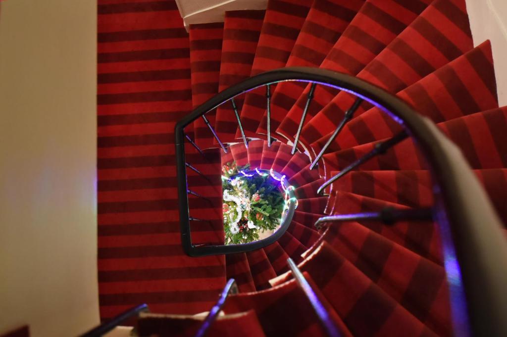 Foto - Amadeus Hotel