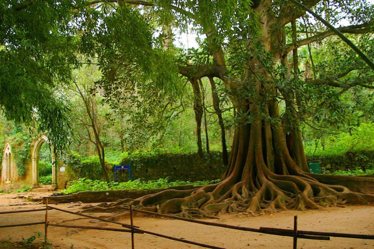 Photo - Quinta Das Lagrimas
