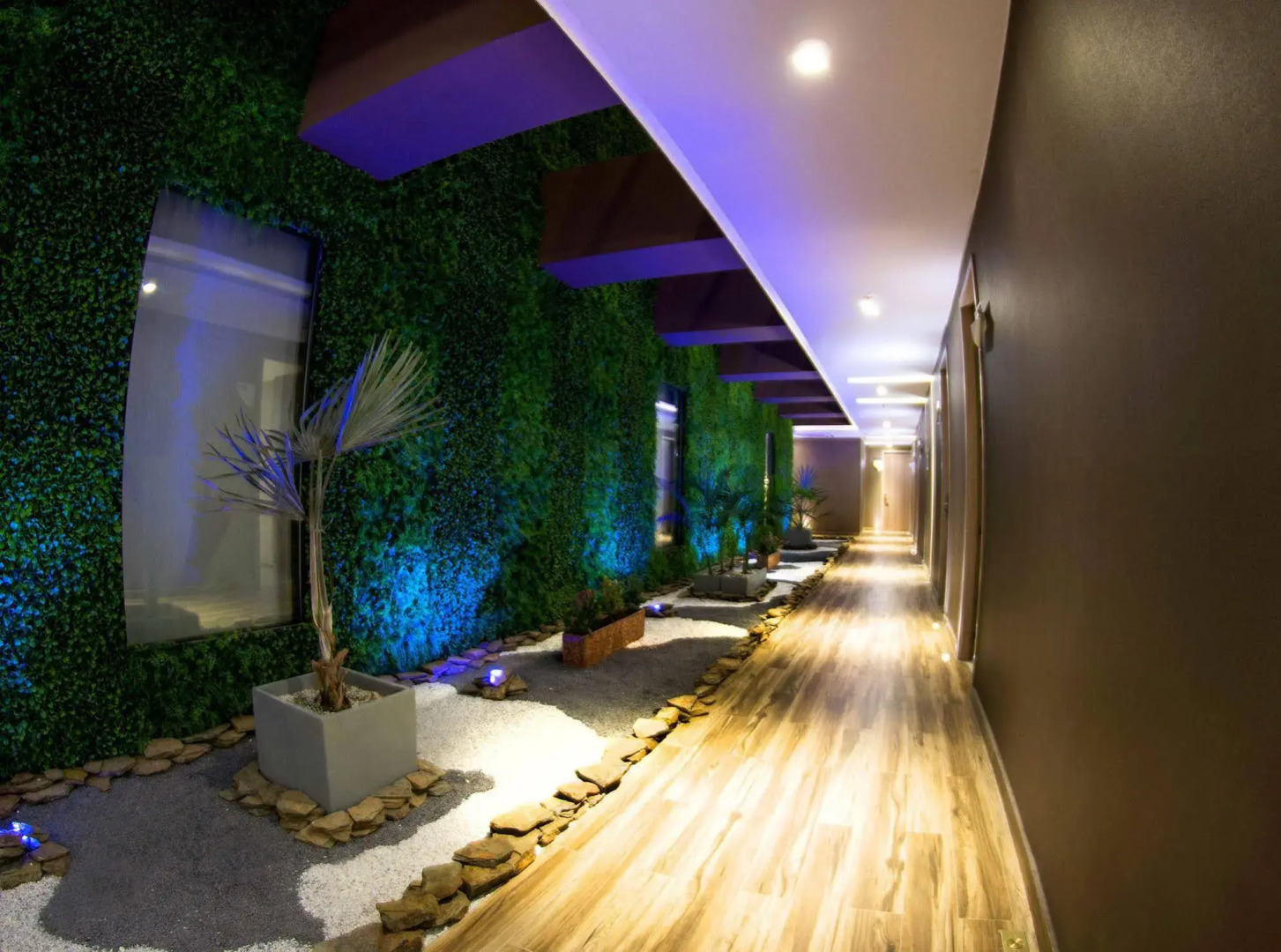 Foto - Hotel Catedral Plaza