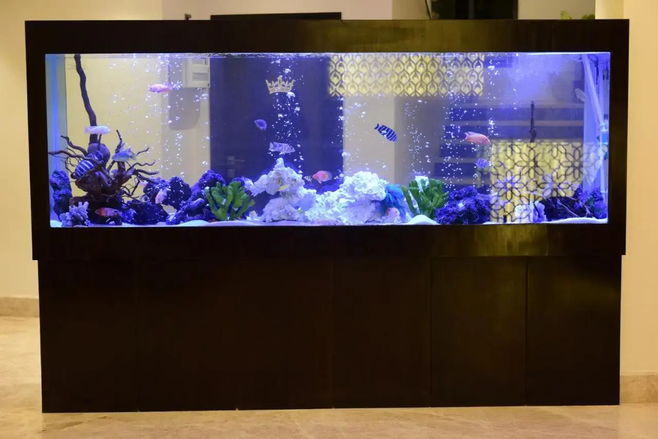 Foto - The Flora Grand, Vasco, Goa