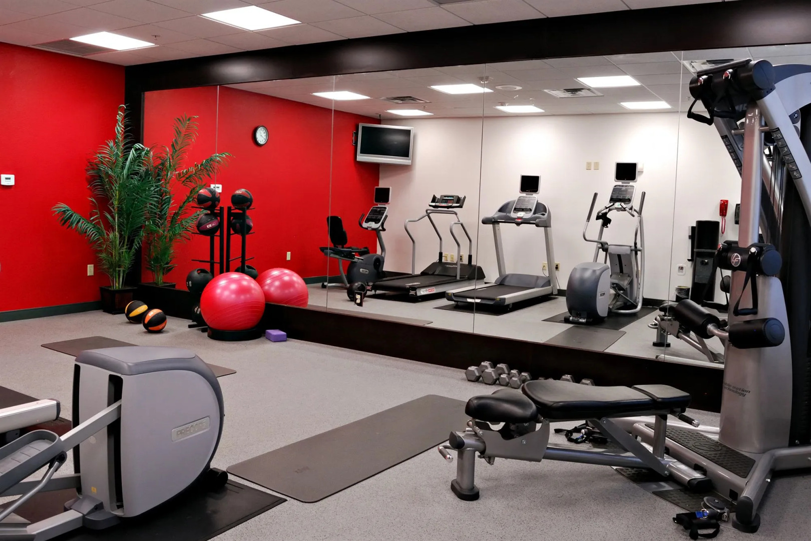 Photo - Hilton Garden Inn Tampa Northwest/Oldsmar