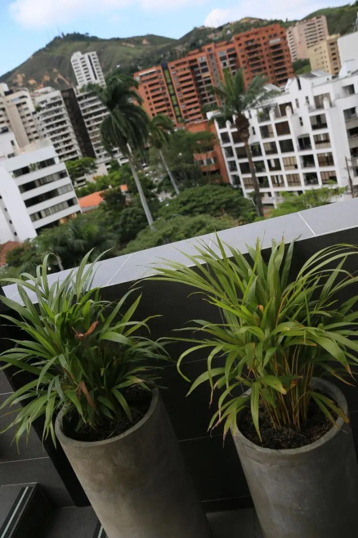Foto - Hotel Foresto 365