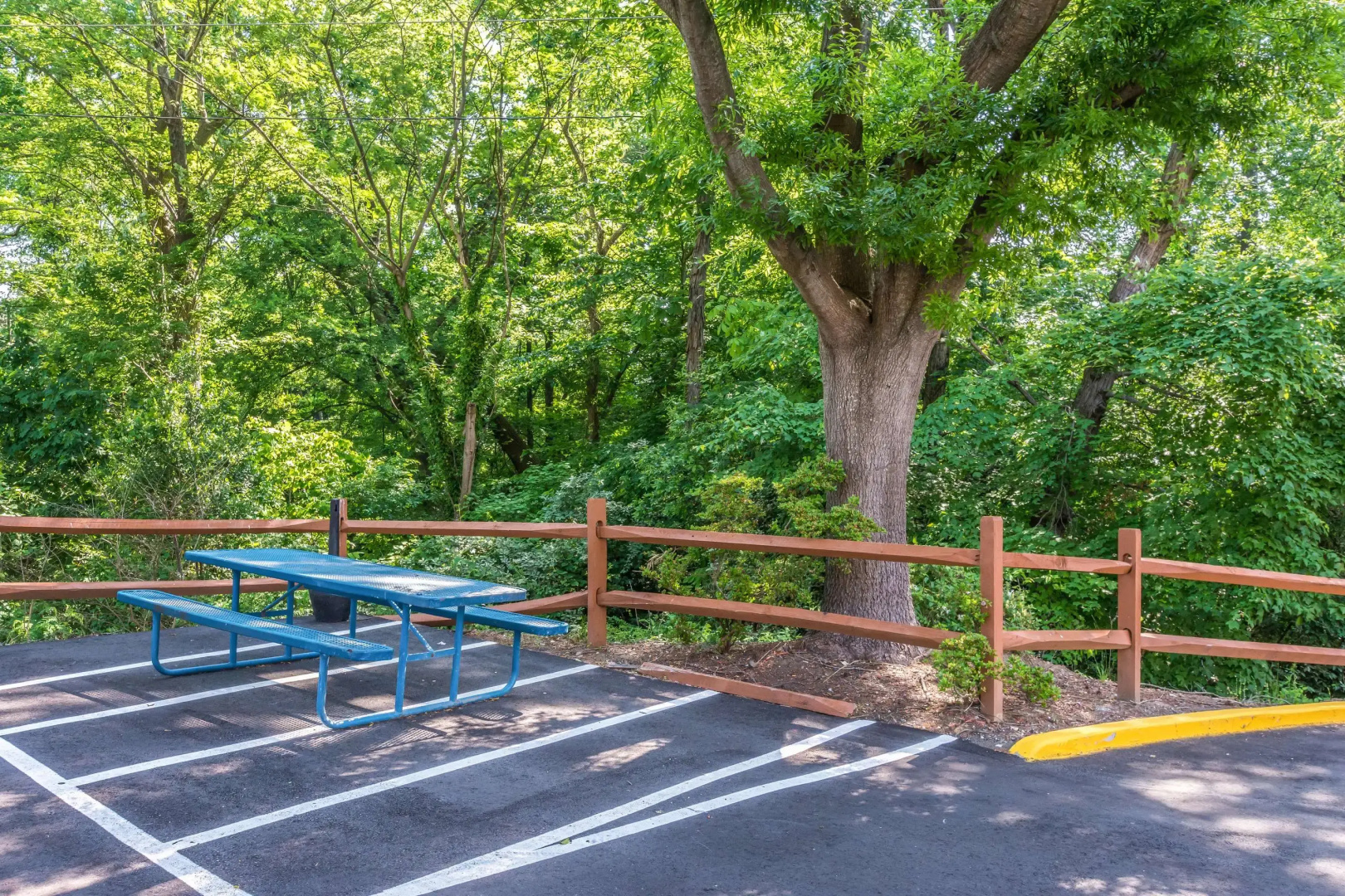 Foto - Comfort Inn Charlotte Airport Uptown