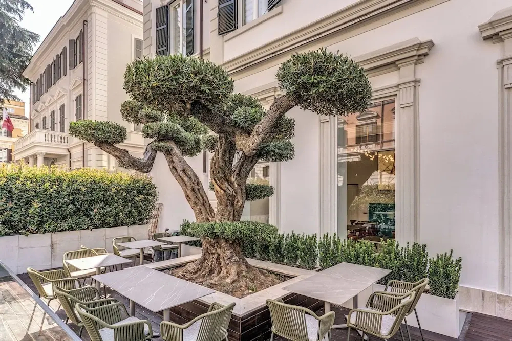 Photo - The Spotlight Boutique Hotel
