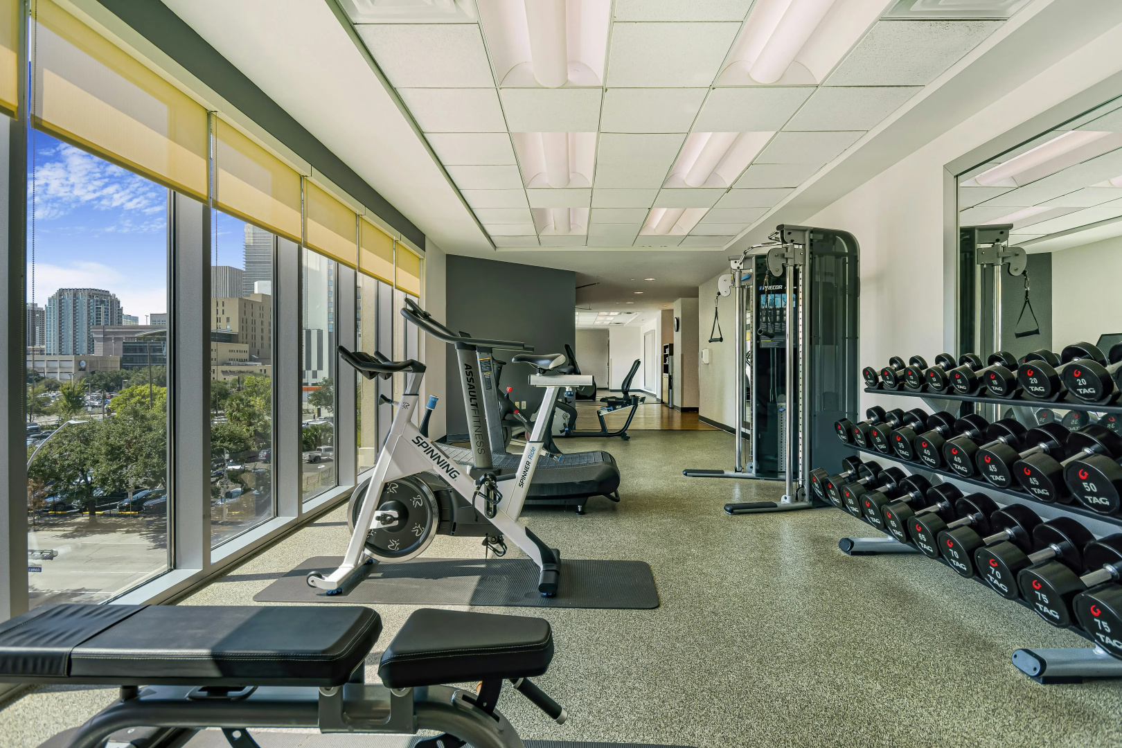 Foto - Embassy Suites by Hilton Houston Downtown Convention Center