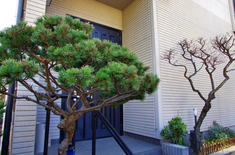 Foto - NYOZE House - Vacation STAY 84305v