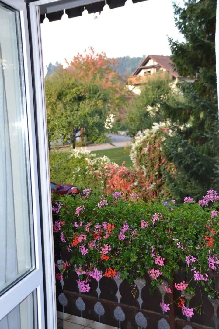 Photo - Gasthaus Auerhahn