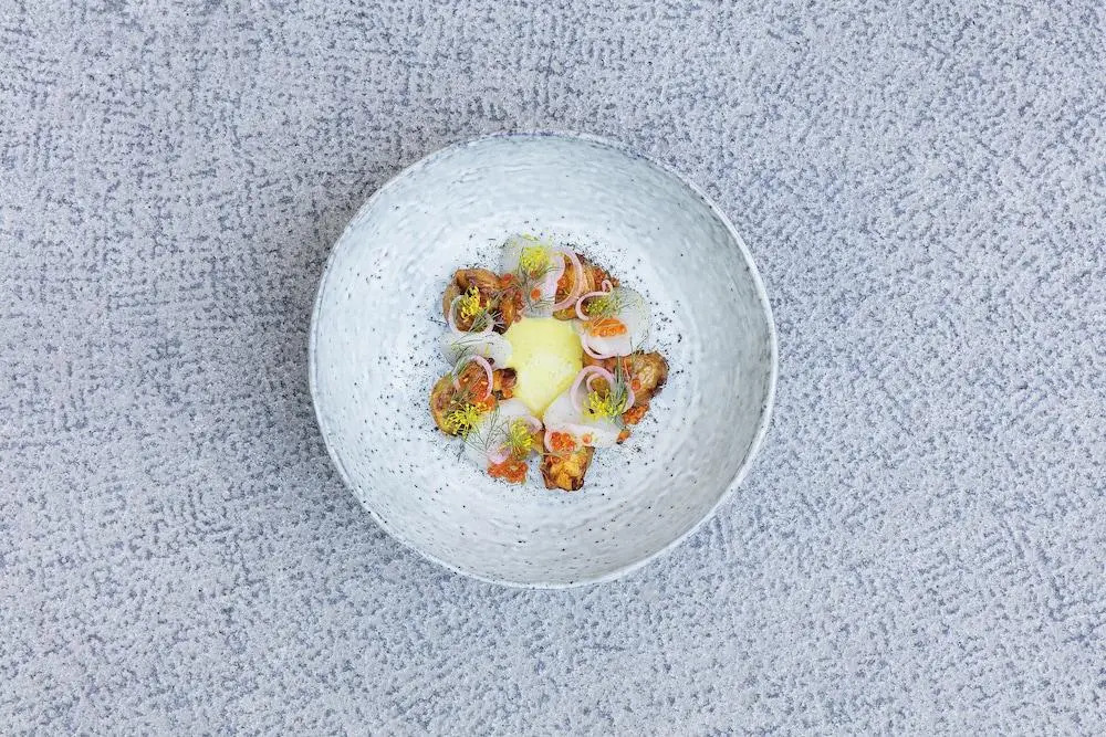 Foto - Åkeshofs Slott