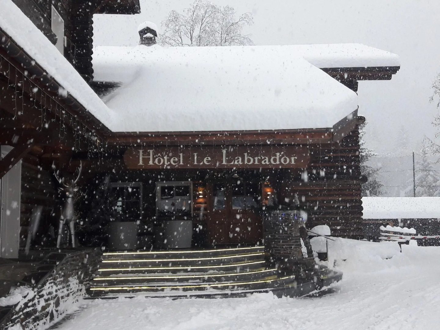 Foto - Le Labrador