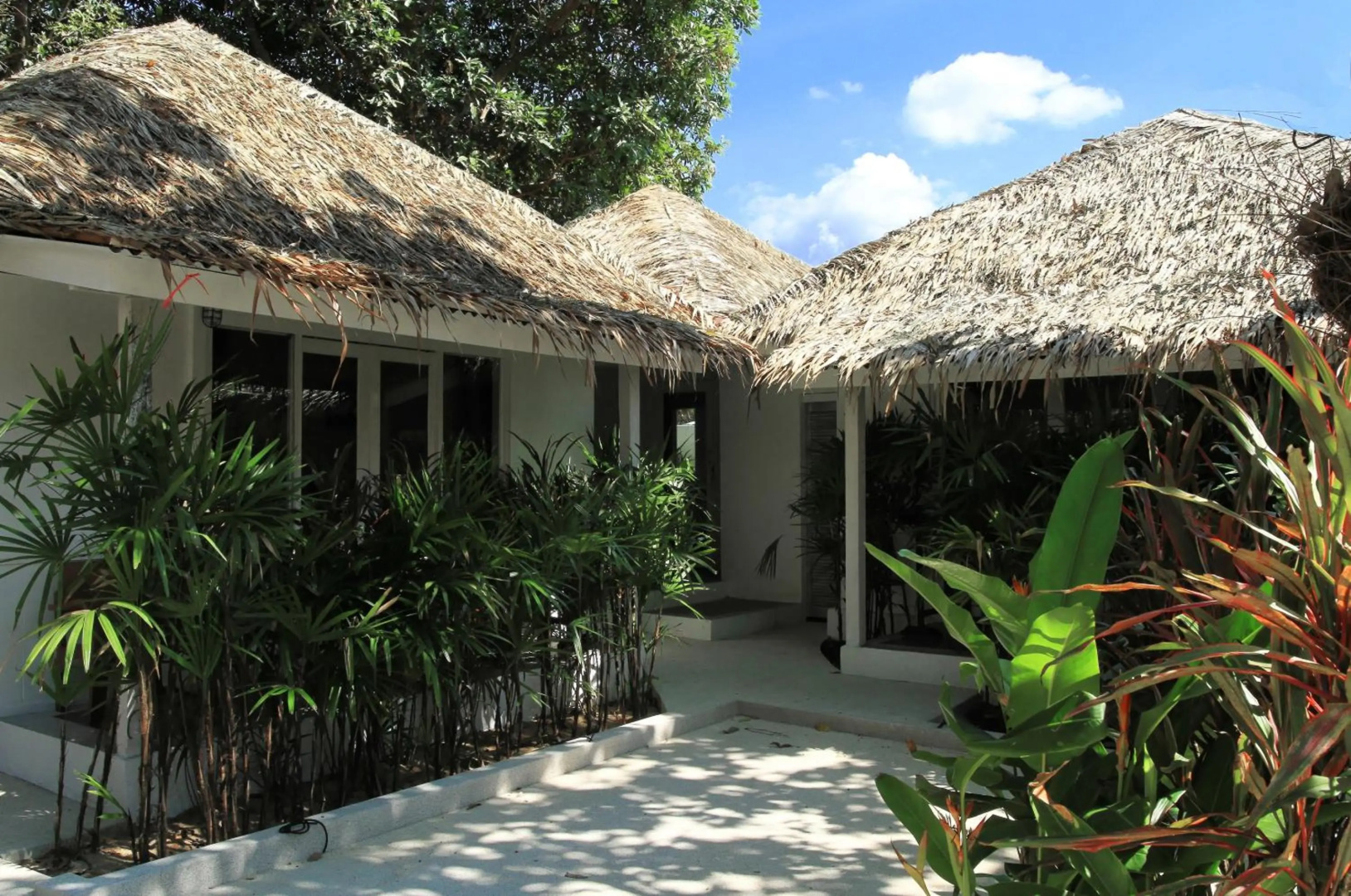 Foto - The White Cottage