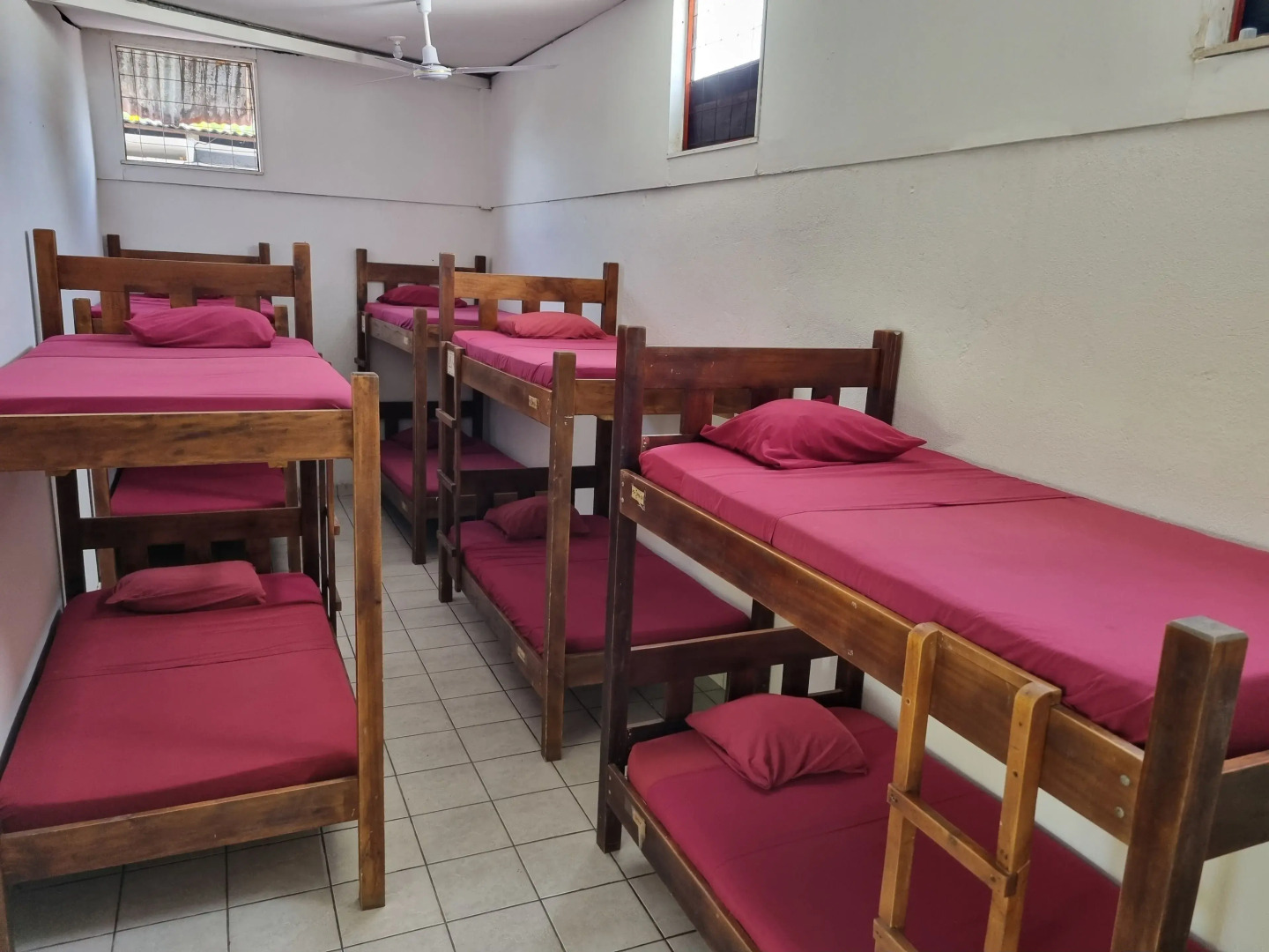 Photo - Wide Mouth Frog Quepos