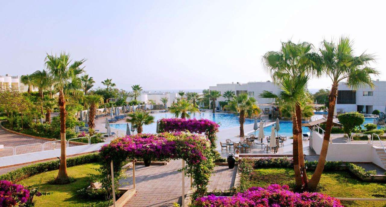 Foto - Sharm Reef Hotel