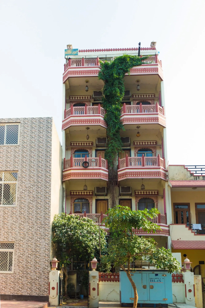 Foto - Hotel Moon Light Palace