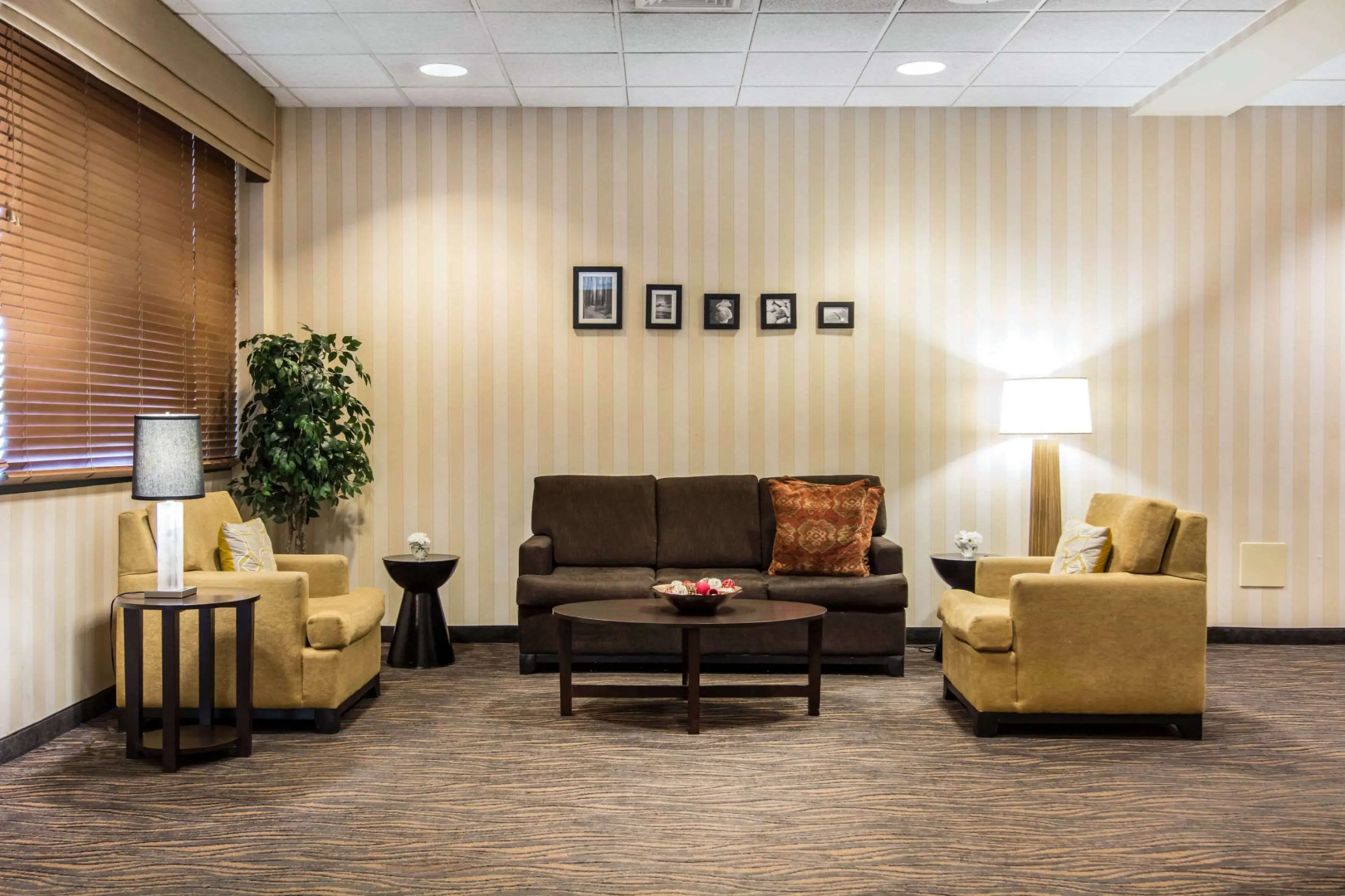 Foto - Sleep Inn Lake Wright - Norfolk Airport