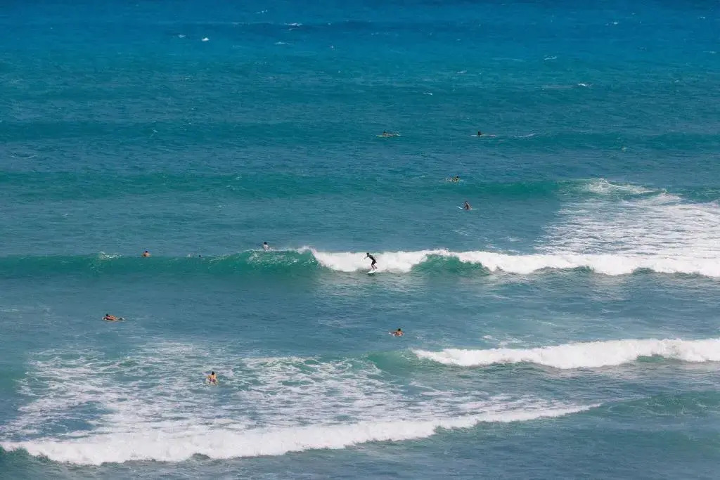 Foto - Lotus Honolulu at Diamond Head
