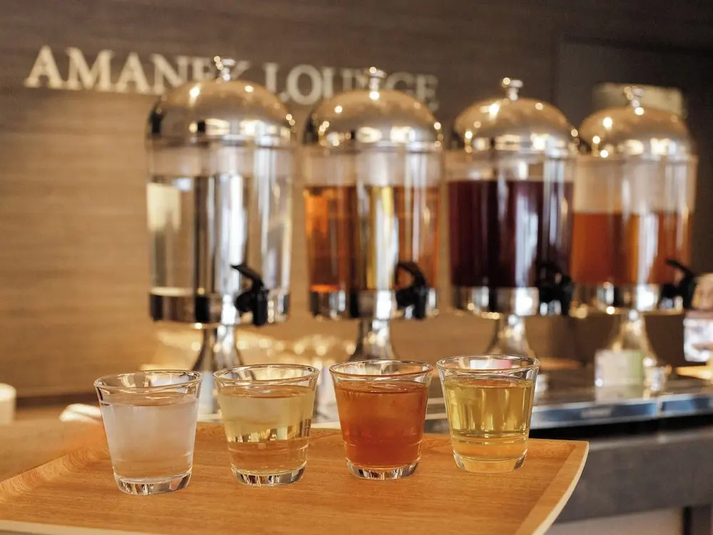 Photo - HOTEL AMANEK HidaTakayama