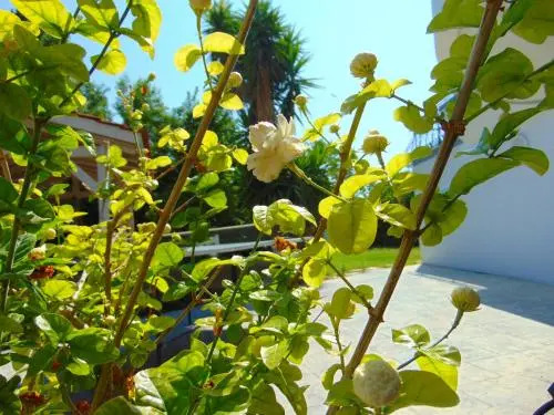 Foto - Villa Giovanni