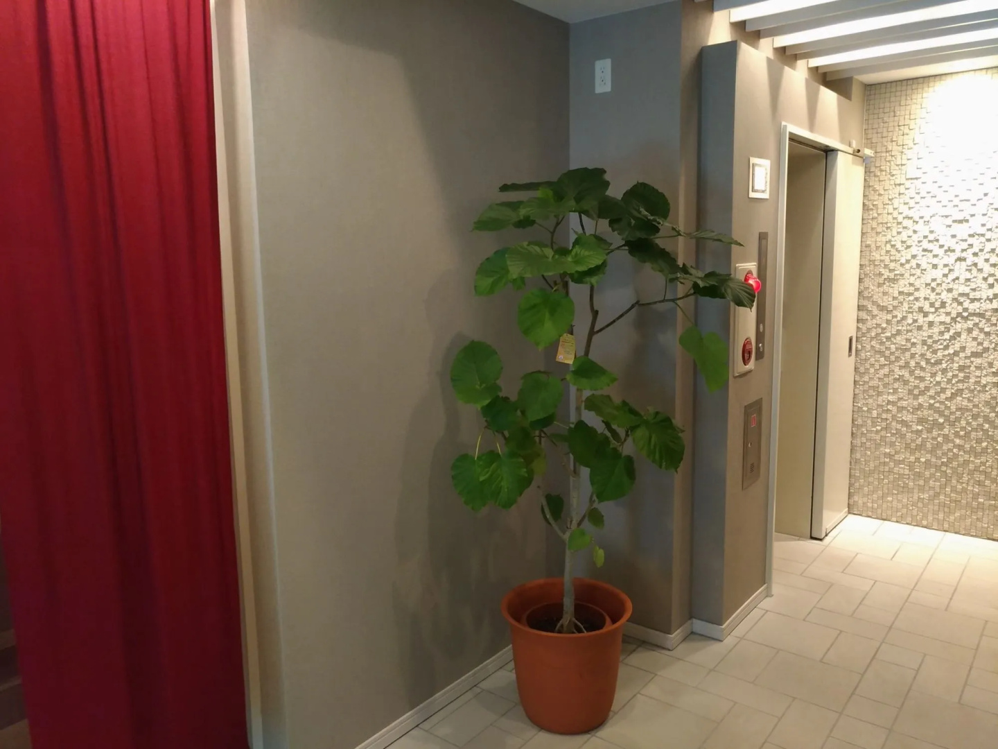 Foto - Hotel Axas Nihonbashi