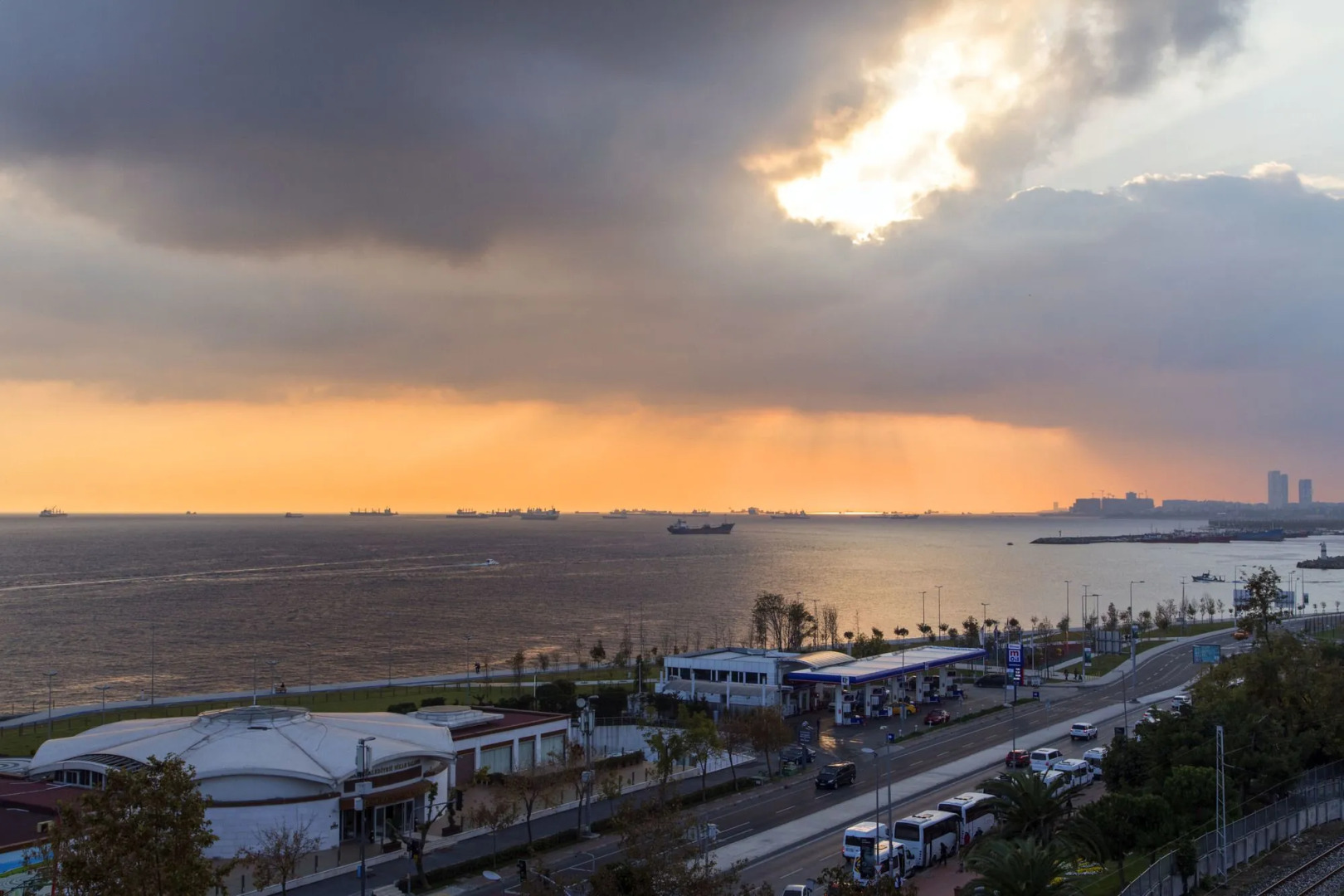 Photo - Bucoleon by Cheers