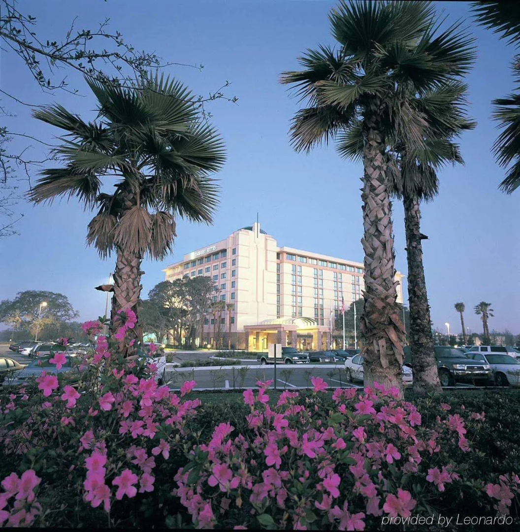 Photo - Embassy Suites by Hilton Tampa USF Near Busch Gardens