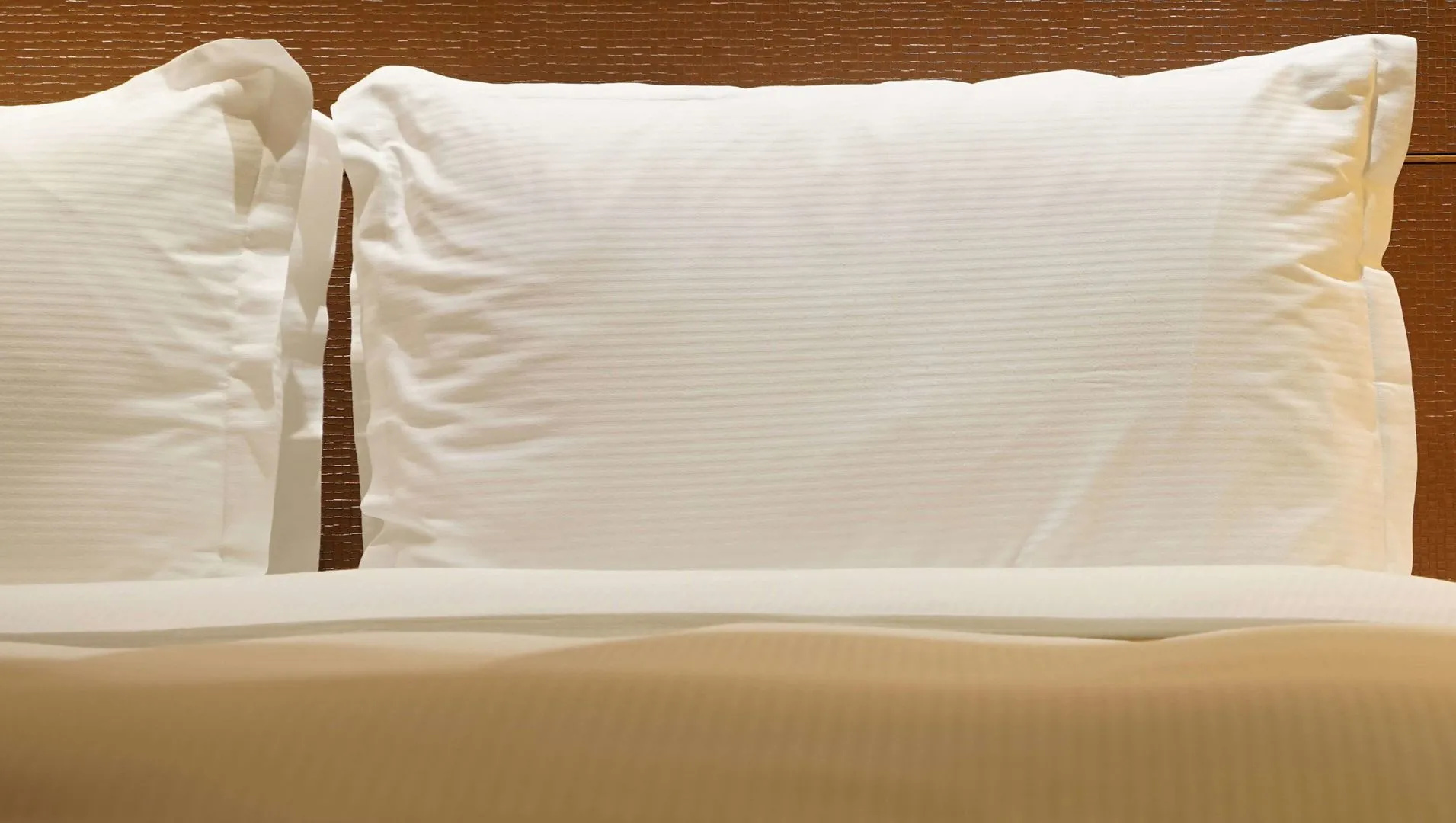 Photo - Magnuson Hotel Bradenton
