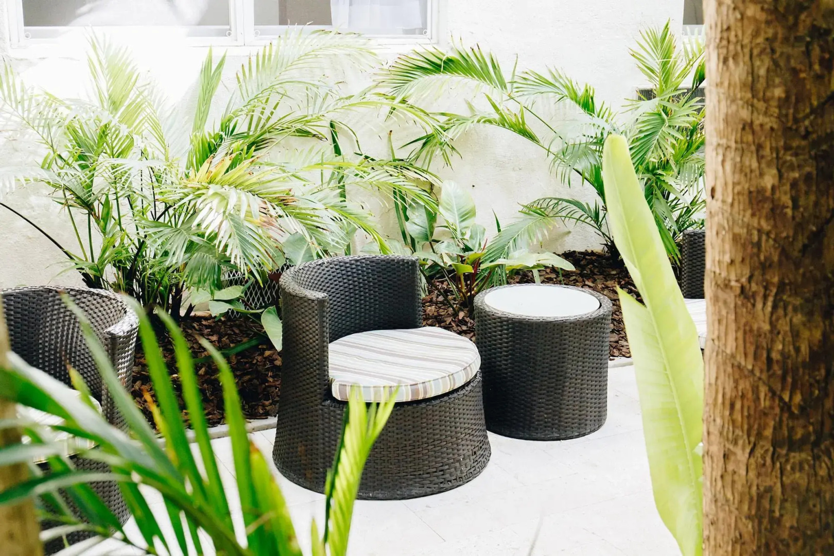 Foto - Riviere South Beach Hotel