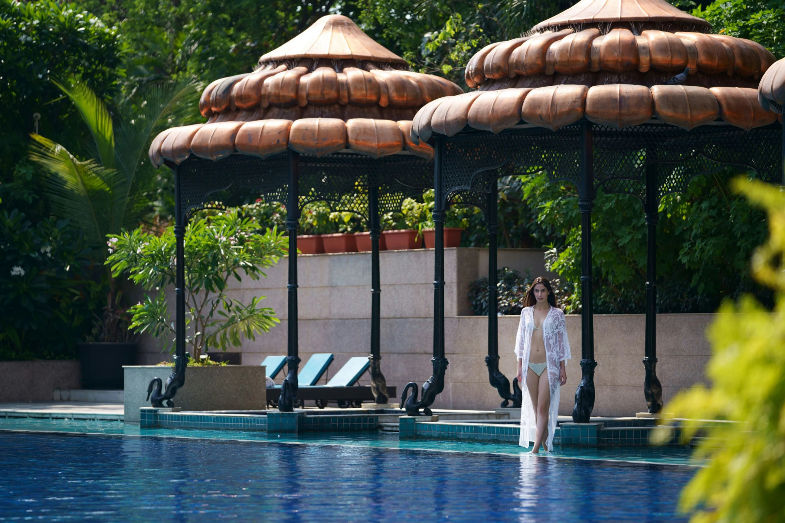 Photo - Taj Krishna