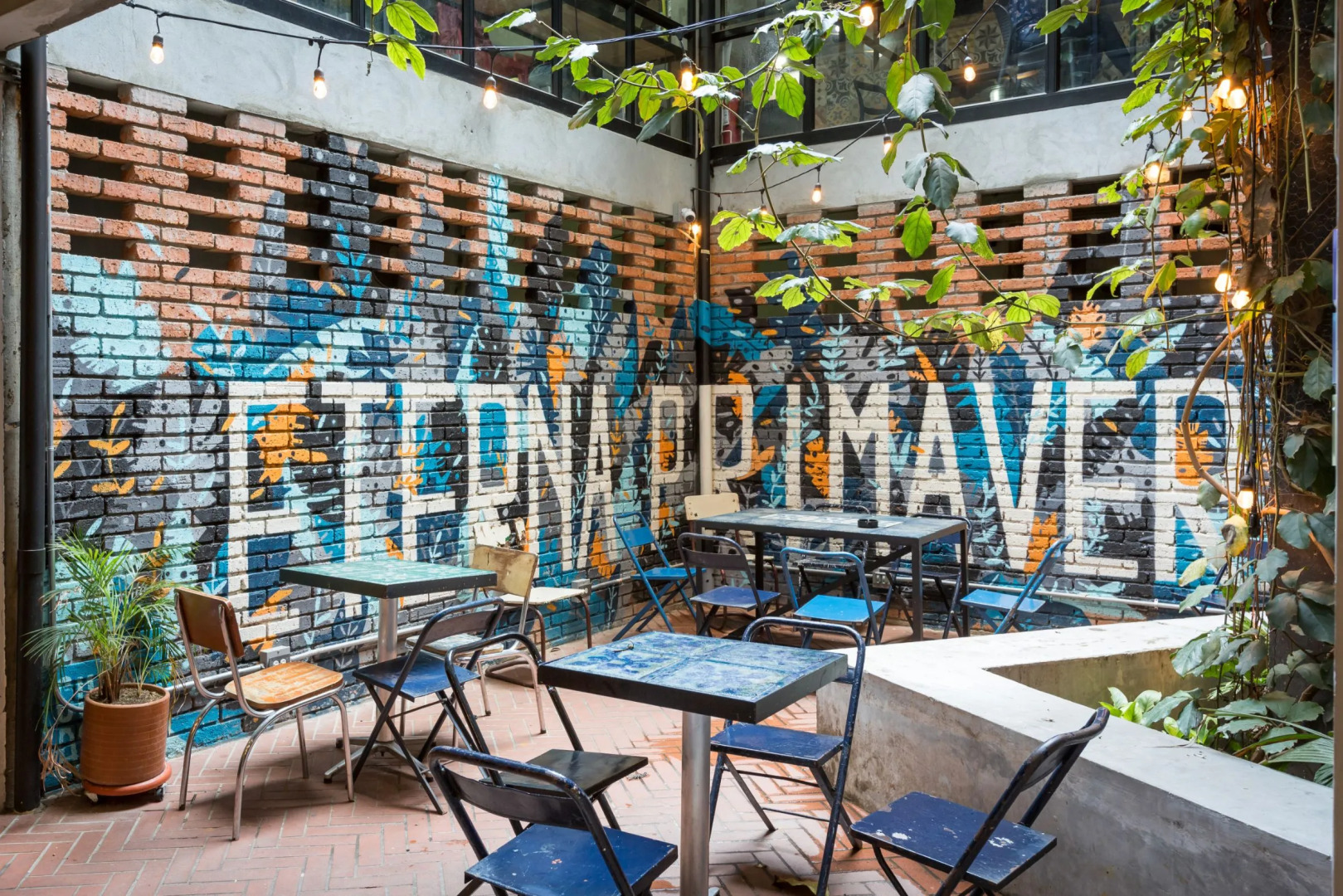 Foto - Socialtel Medellin