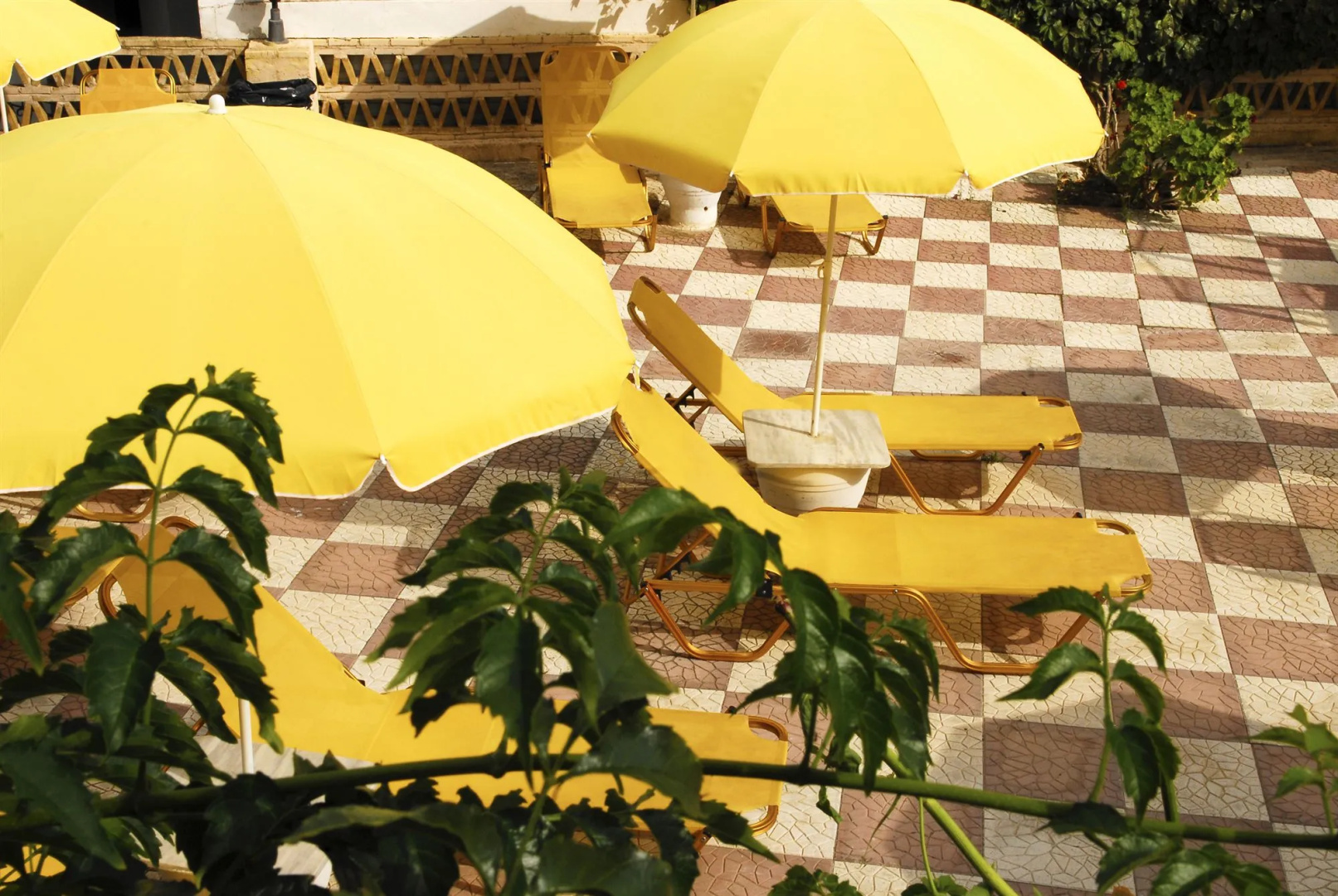Foto - Vanessa Hotel