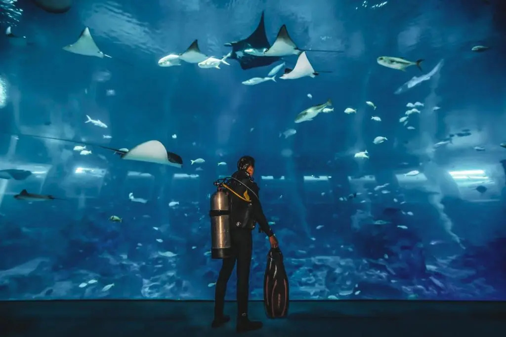 Photo - Resorts World Sentosa - Crockfords Tower