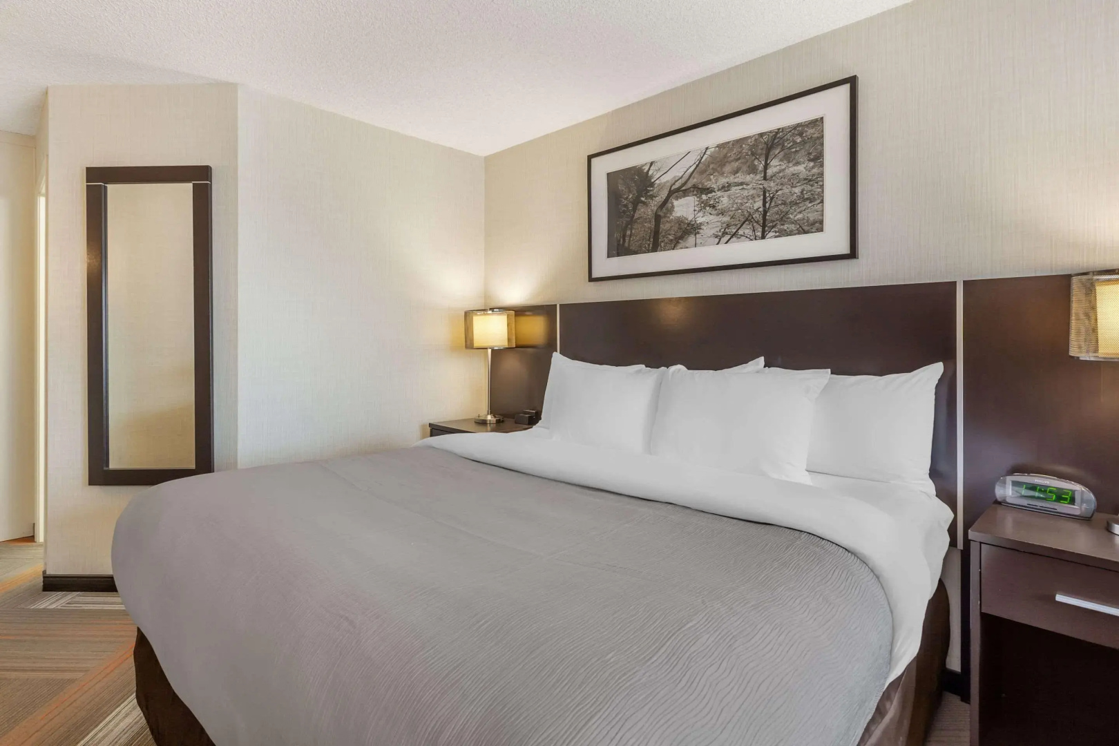 Photo - Quality Hotel