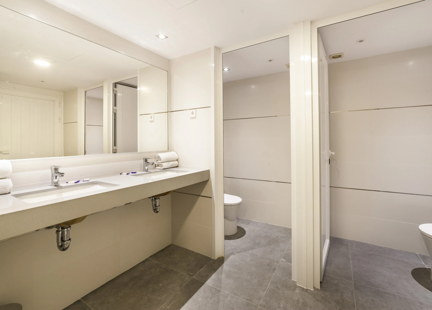 Foto - Globales Mimosa