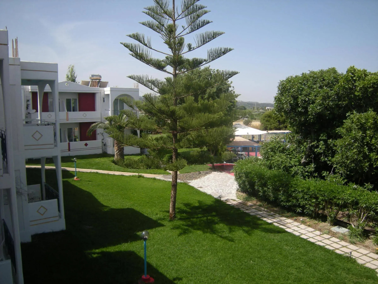 Photo - Summer Dream