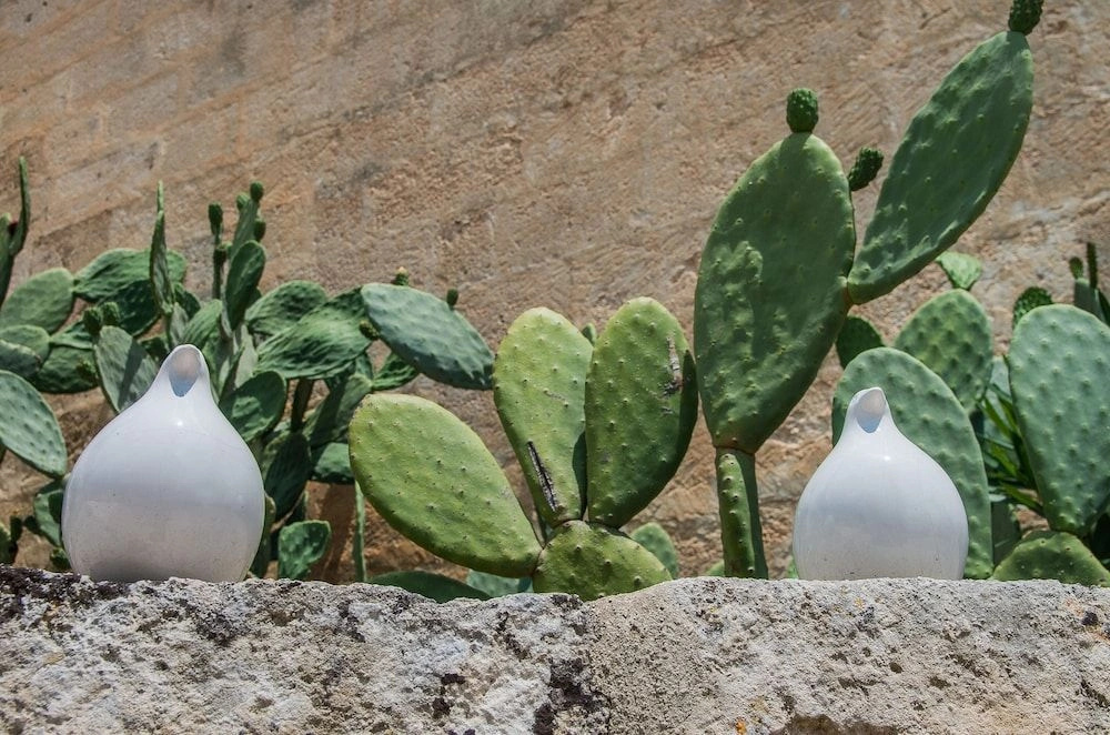 Foto - Residence Masseria Santa Lucia