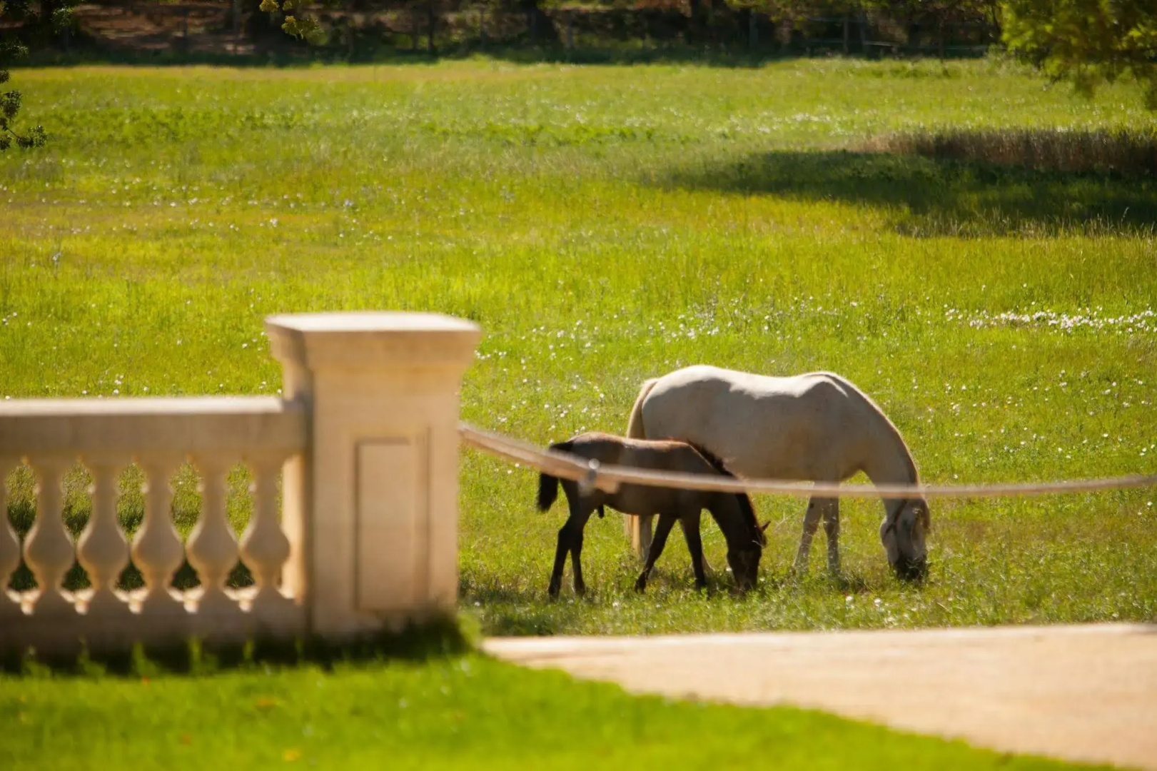 Foto - Hôtel Domaine de Biar