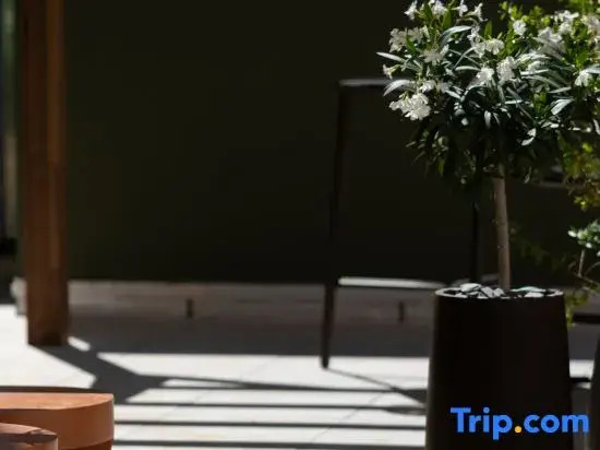 Foto - Hotel Oceania Lyon