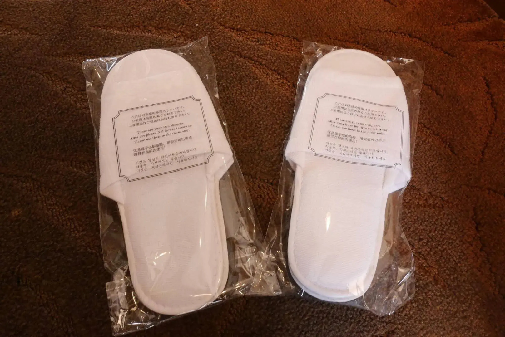 Photo - Shin Yokohama Grace Hotel