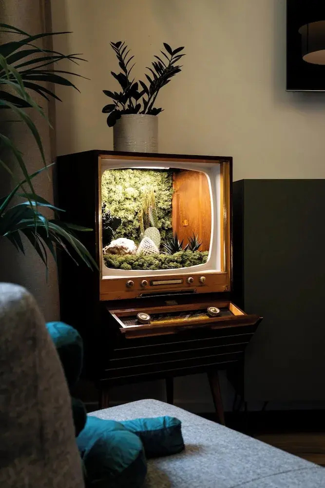 Photo - Urban Jungle Apartments