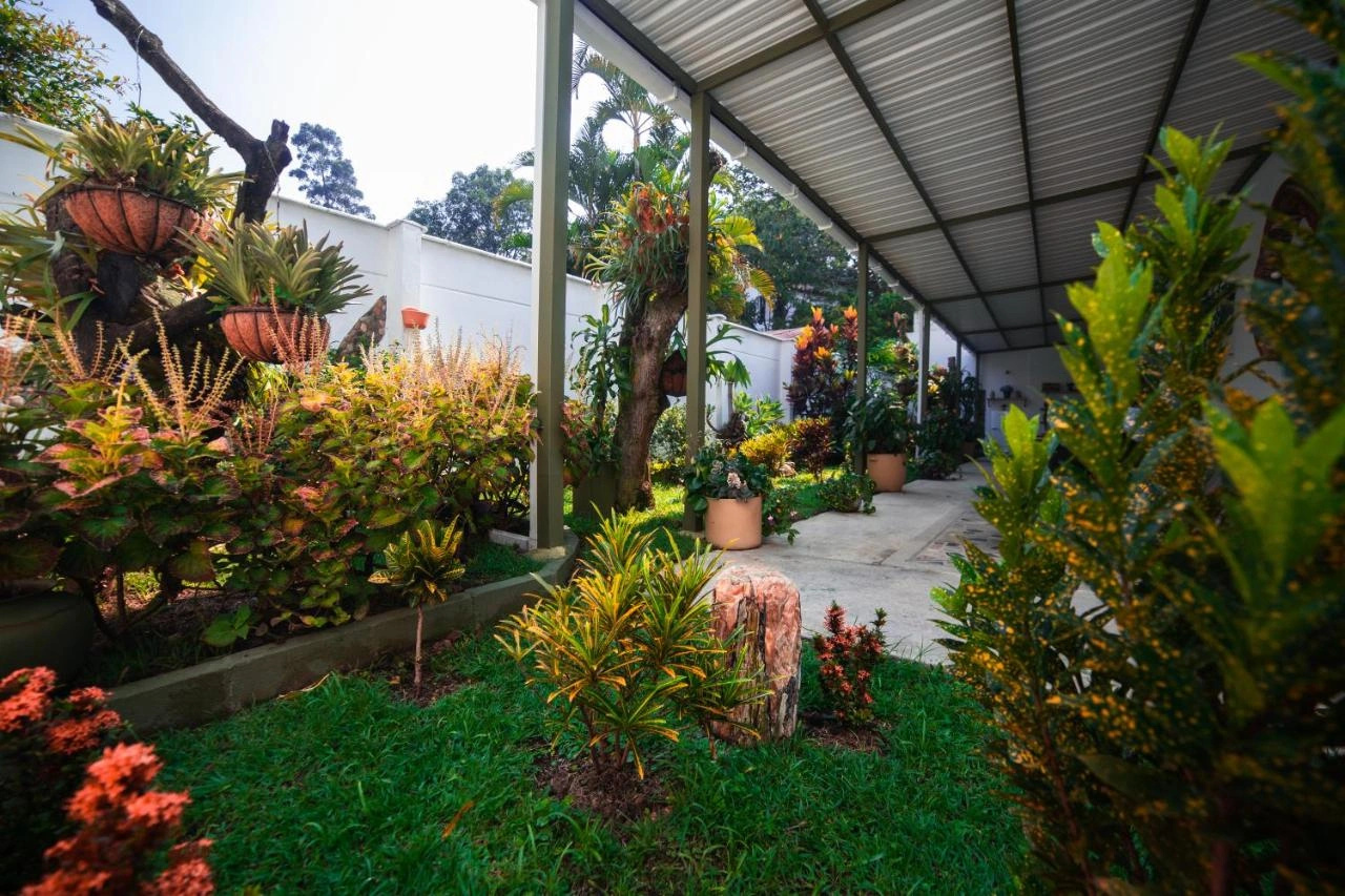Photo - Hotel Greenview Medellin