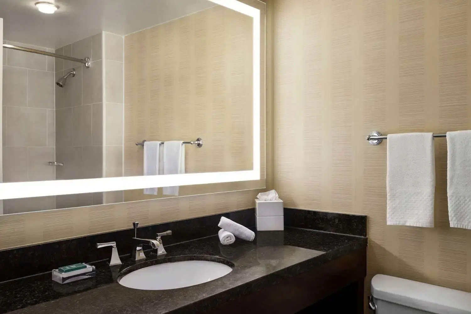 Photo - Hilton Tampa Downtown