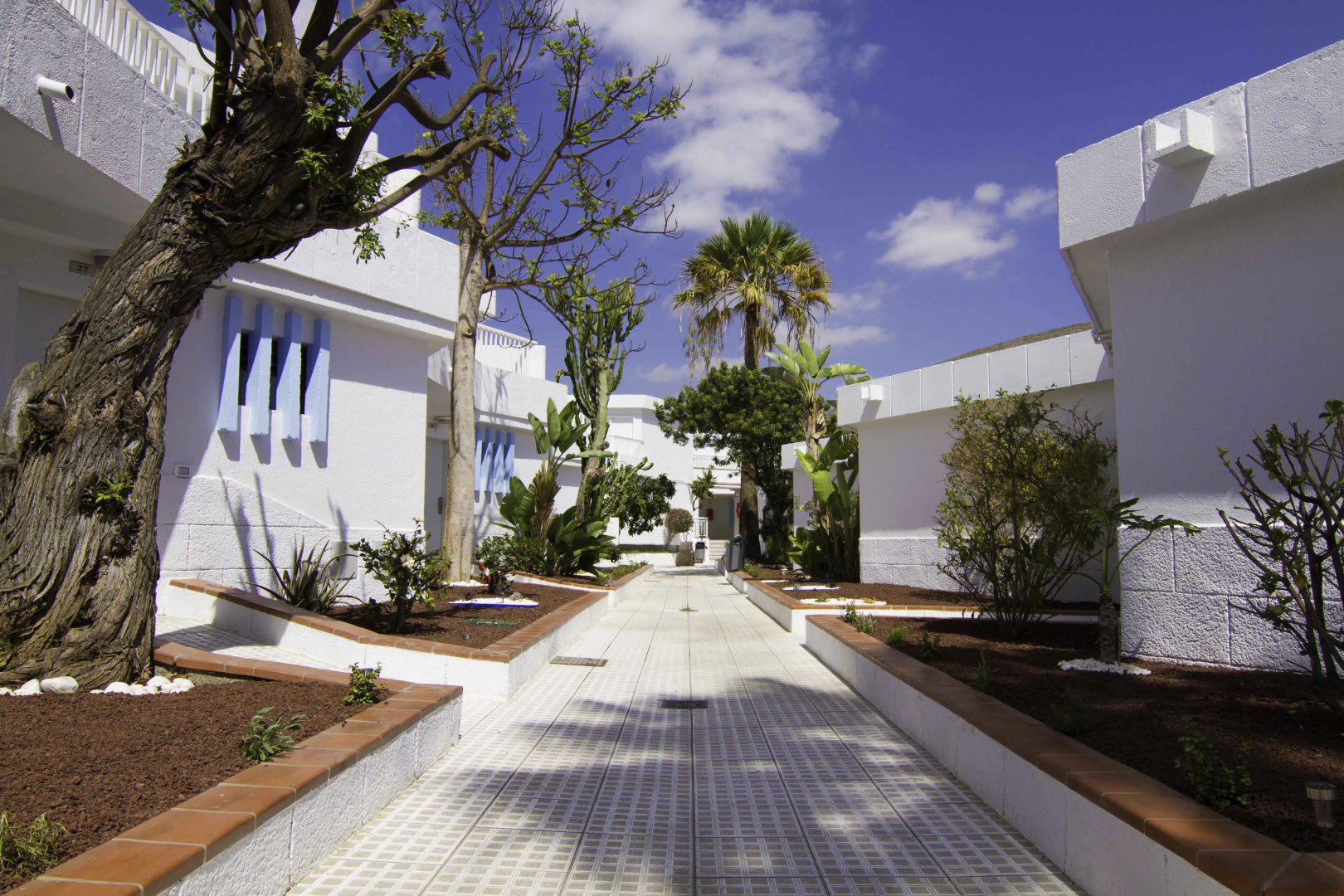Photo - Checkin Bungalows Atlantida