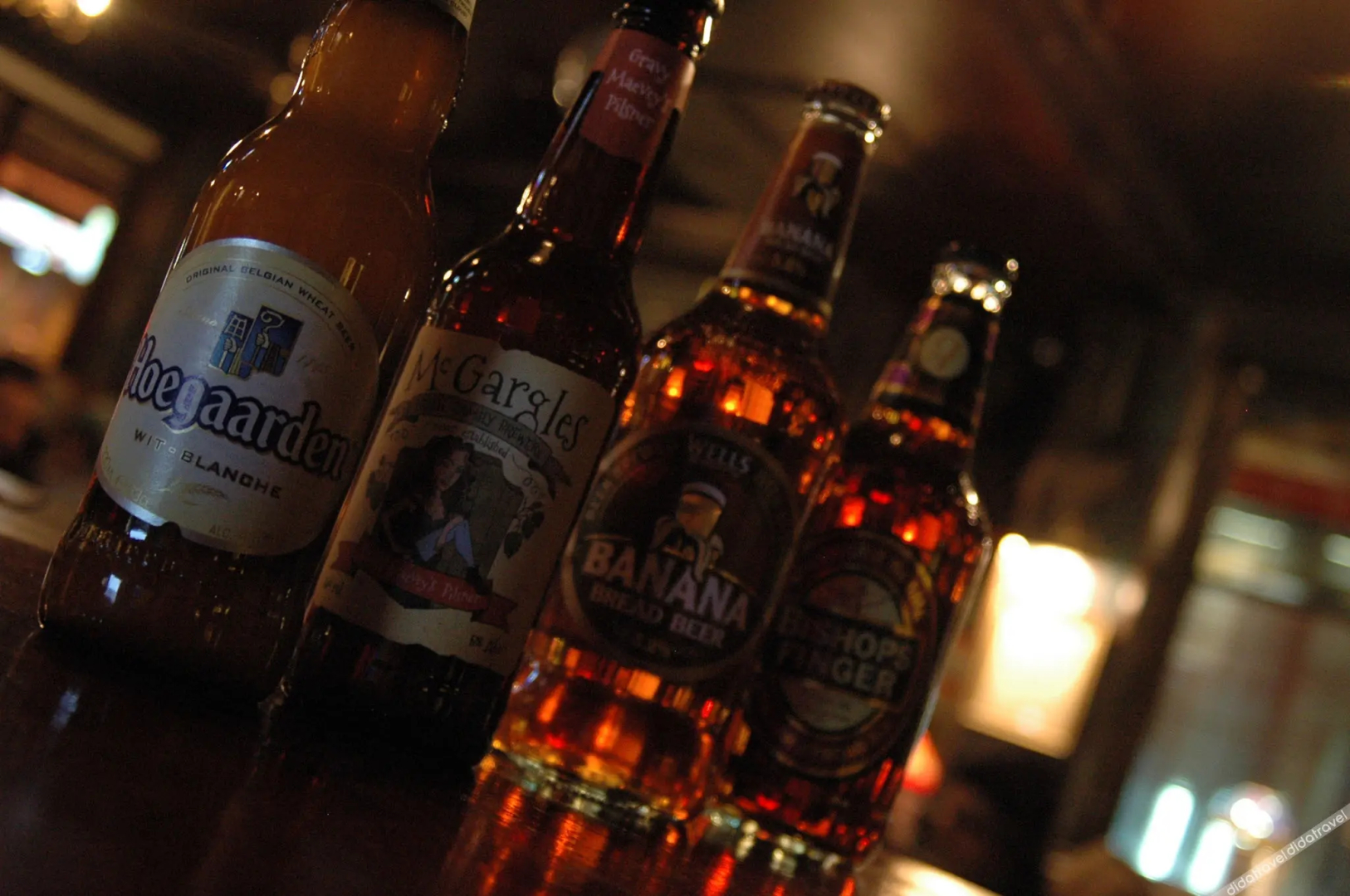 Photo - The Walrus Bar and Hostel