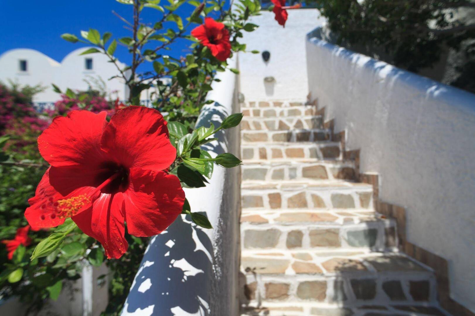 Foto - Sellada Beach